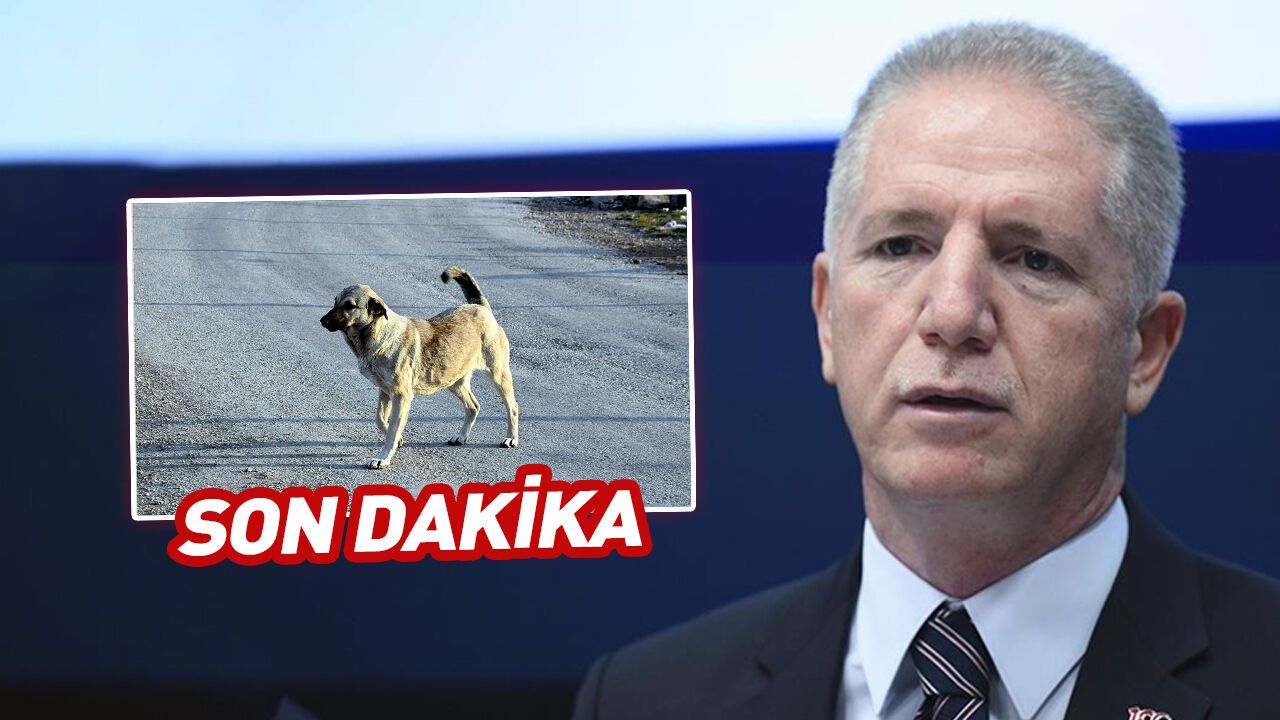 Valilikten belediyelere kritik uyarı! Derhal yerine getirin
