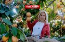 Kalp hastalıklarının şifası! Bu meyvenin faydaları saymakla bitmiyor