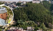 "Şehmus Dede Ormanı" Türkiye'ye örnek oldu