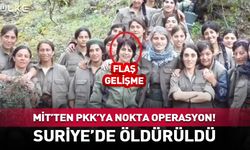 MİT, PKK'lı Yayla Kızılkaya'yı etkisiz hale getirdi