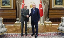 Erdoğan, Aliyev ve Velid Canbolat ile görüştü