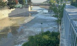 İstanbullular isyan ettiren koku: Hayvan ölüsü gibi…