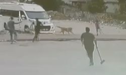 Küçük çocukları köpeklerden esnaf kurtardı! Adana'da korkunç olay