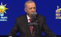 Cumhurbaşkanı Erdoğan: Ahtapotun kolları bir bir deşifre oluyor!