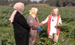 Karaciğer dostu! Enginara özel yemek tarifini Ülke TV'de açıkladı
