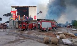 Sakarya'da fındık kırım fabrikasında yangın