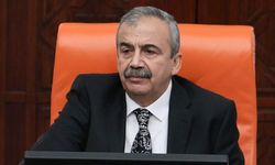 Sırrı Süreyya Önder’e suikast girişimi iddiası