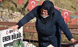 DEM Parti'den Eren Bülbül'ün annesine telefon
