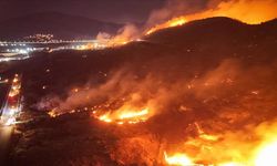 İzmir’de orman yangını! 1 gözaltı kararı