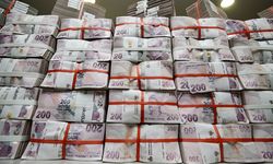 Devletten yangın bölgelerine 60 milyon TL'lik ödenek