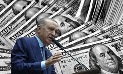 Erdoğan farkı gözler önüne serdi: 80 milyar dolarlık potansiyel var