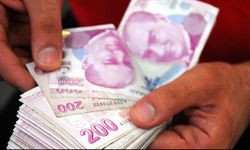 Köy sakinlerini şoke eden olay! 557 bin TL cezası var