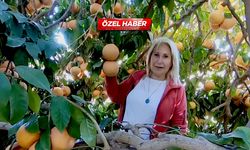 Kalp hastalıklarının şifası! Bu meyvenin faydaları saymakla bitmiyor