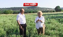 Peygamber Efendimiz tavsiye etmişti...“Ölüm hariç her derde deva"