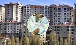 Aidatlarda yeni dönem! Bakanlık düğmeye bastı