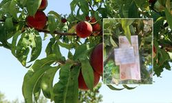 Vatandaştan duygulandıran davranış…"İnsanlık ölmemiş” dedirtti