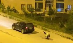 Eşeği aracına bağladı! Zorla çekerek götürdü…