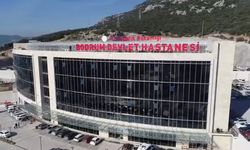 Türk pop müziğinin usta ismi hayatını kaybetti!