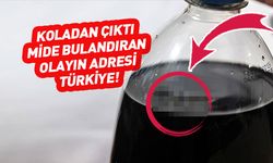 Ankara'da mide bulandıran olay! Kolanın içinden bakın ne çıktı