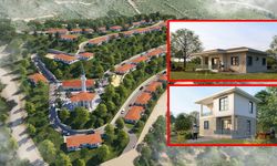 Devlet orman yangınlarında yaraları sarıyor: İzmir ve Bilecik'e 350 konut yapılacak