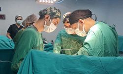 Dünyada bir ilk! Domuzdan insana nakledildi