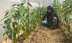 Hayalini 60 yaşından sonra gerçekleştirdi!