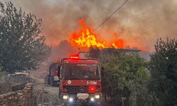 Antalya ve Muğla'da orman yangını