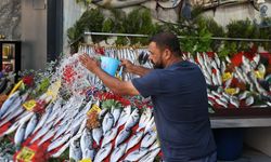 Tezgahlar doldu! Balık fiyatları ne kadar? Hamsi, mezgit, çipura…
