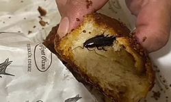 Poğaçadan çıkan şey mide bulandırdı