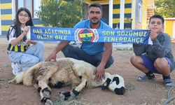Fenerbahçe için kurban kestiler