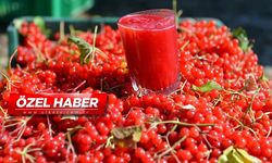 Böbrek taşı olanlar dikkat! Bu bitki adeta doğal temizleyici