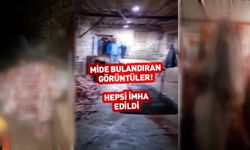 Bakanlık paylaştı! Mide bulandıran görüntüler 🤮