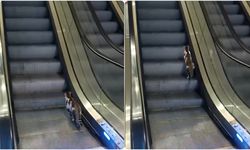 Kedinin imtihanı… Azmi vatandaşı harekete geçirdi