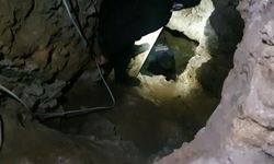 "Define çetesi"ne operasyon! Çok sayıda kişi tutuklandı