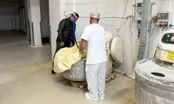 🍞"Halk ekmek fabrikasında fare çıktı" iddiası!