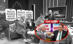 Balık ile yoğurt yenir mi? sorusuna uygulamalı yanıt