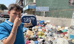 CHP İzmir'i "çöp" etti! Şehri sinekler bastı