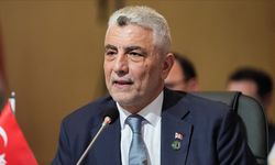 Türkiye-İran sınırında neler yaşanıyor? Bakan açıkladı