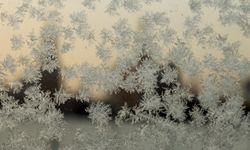 Avrupa’ya kritik uyarı! Son 10 yılın en düşük seviyesinde