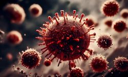 Yeni virüs alarmı! Çok hızlı yayılıyor: 2 binden fazla okul kapatıldı