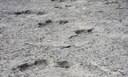 Heyecanlandıran keşif! Tam 200 milyon yıllık