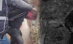 Dayısı diri diri toprağa gömmüştü! 10 yaşındaki Amir'in son durumu açıklandı