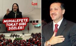 "Erdoğan'ın bursuyla okudum" dedi! Muhalefete yüklendi