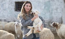 İstanbul'dan köyüne döndü: Modelistliği bırakıp hayvancılığa başladı