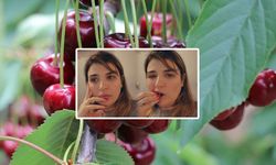 Ünlü ismin "5 bin liraya kiraz" isyanı