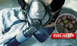 Doğadan gelen mucize! Solunum hastalıklarına şifa