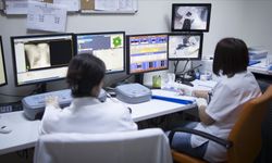 🥼Kanser taramanız için aile hekiminize gidin