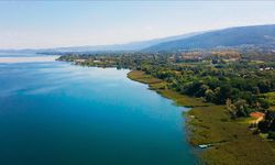 Sapanca Gölü'nde alarm! Şoke eden görüntü...