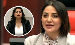 AK Partili Şengül Karslı'dan DEM'li Koçyiğit'e sert yanıt