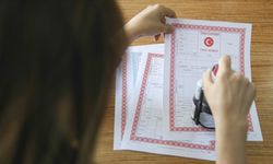 Tapu sahiplerini ilgilendiriyor! Artık e-Devlet'ten yapılabilecek